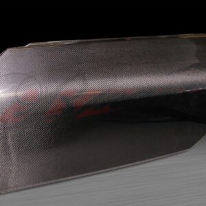 350z Carbon Türen