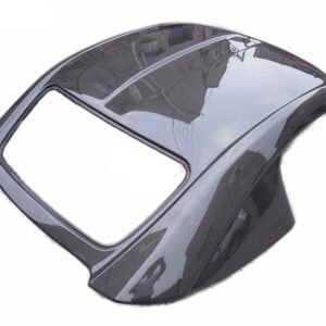 S2000 Carbon Dach
